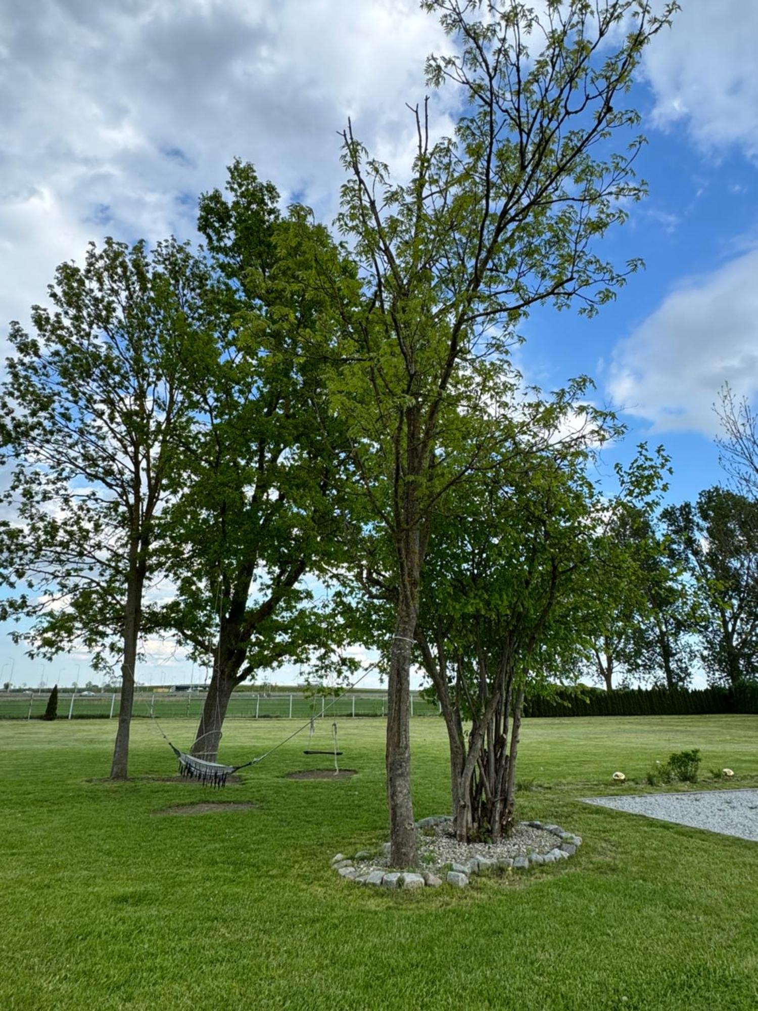 Ranczo Ryki Villa Nowy Dwór Gdański Exteriör bild