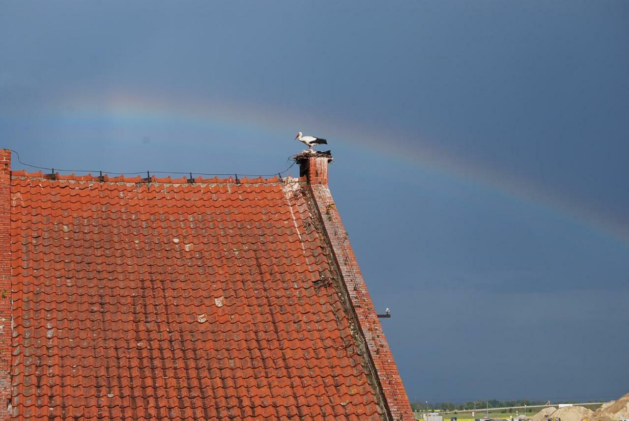Ranczo Ryki Villa Nowy Dwór Gdański Exteriör bild